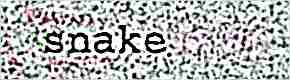 /